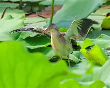 包含抙?雰??~鲸k羁TU-mk官网